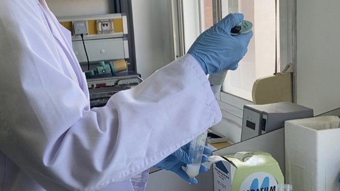 Una investigación andaluza determina diferencias en la calidad nutritiva de las diferentes bebidas de soja.