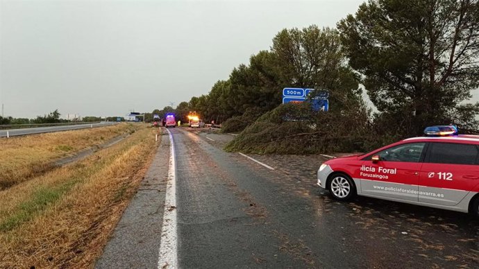 Ramas caídas tras las tormentas.