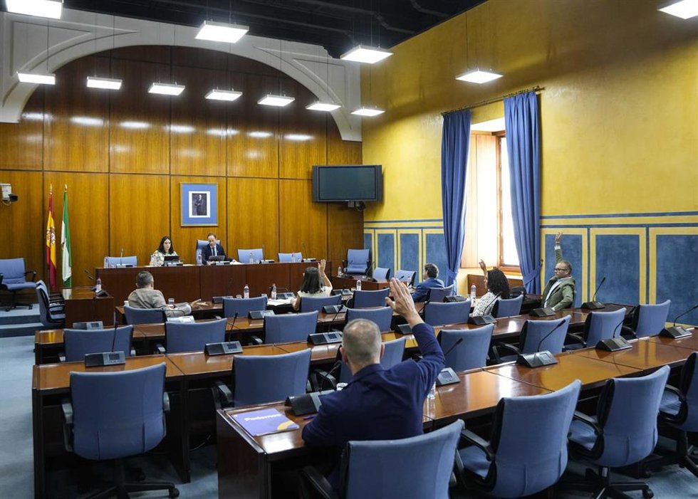 Sesión del grupo de trabajo relativo a la Inteligencia Artificial creado en el Parlamento andaluz. (Foto de archivo).