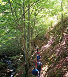 Viejos caminos olvidados del Alto Valle del Oja