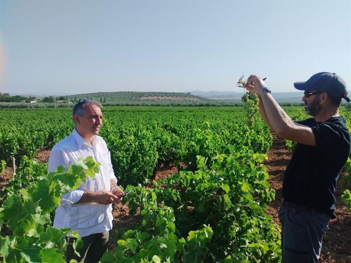 Enrique Santiago (izda.), durante una visita esta semana a viñedos de Montilla (Córdoba).