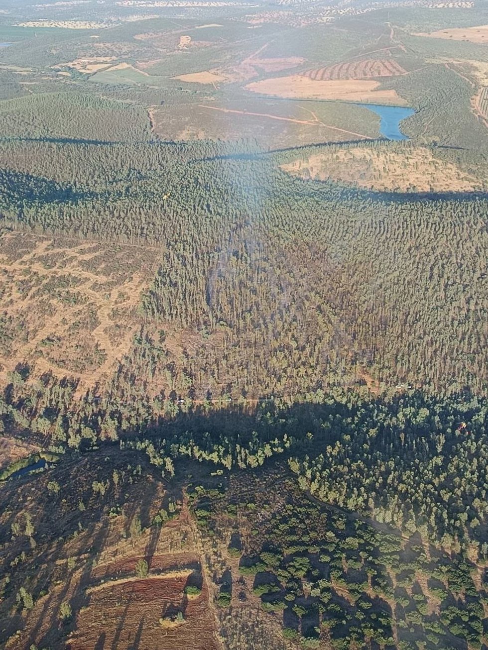 El incendio forestal localizado en el término municipal de Oliva de Mérida (Badajoz) ha afectado a una zona de eucalipto