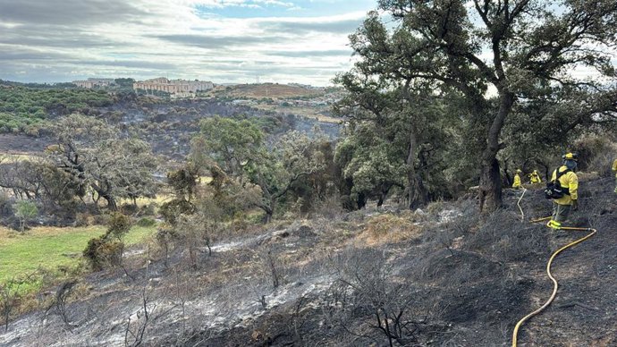 Tareas de Infoca ante el incendio de Algeciras.