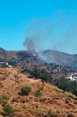Incendio forestal declarado en Moclinejo