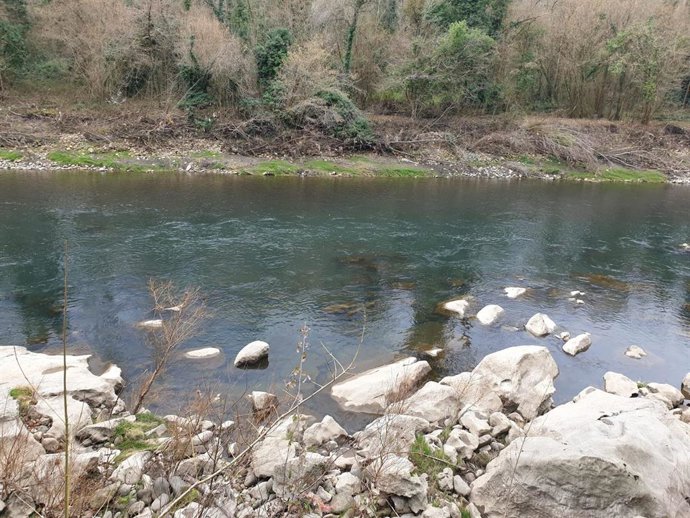 Archivo - Río Nalón.