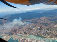 Ecologistas denuncian a la Diputación de Cádiz "por no tener limpias las cunetas" en el incendio forestal de Algeciras