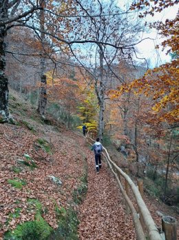 Archivo - Monte en La Rioja
