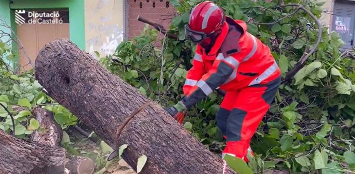 Imagen de un bombero de Castellón actuando ante la caída de un árbol