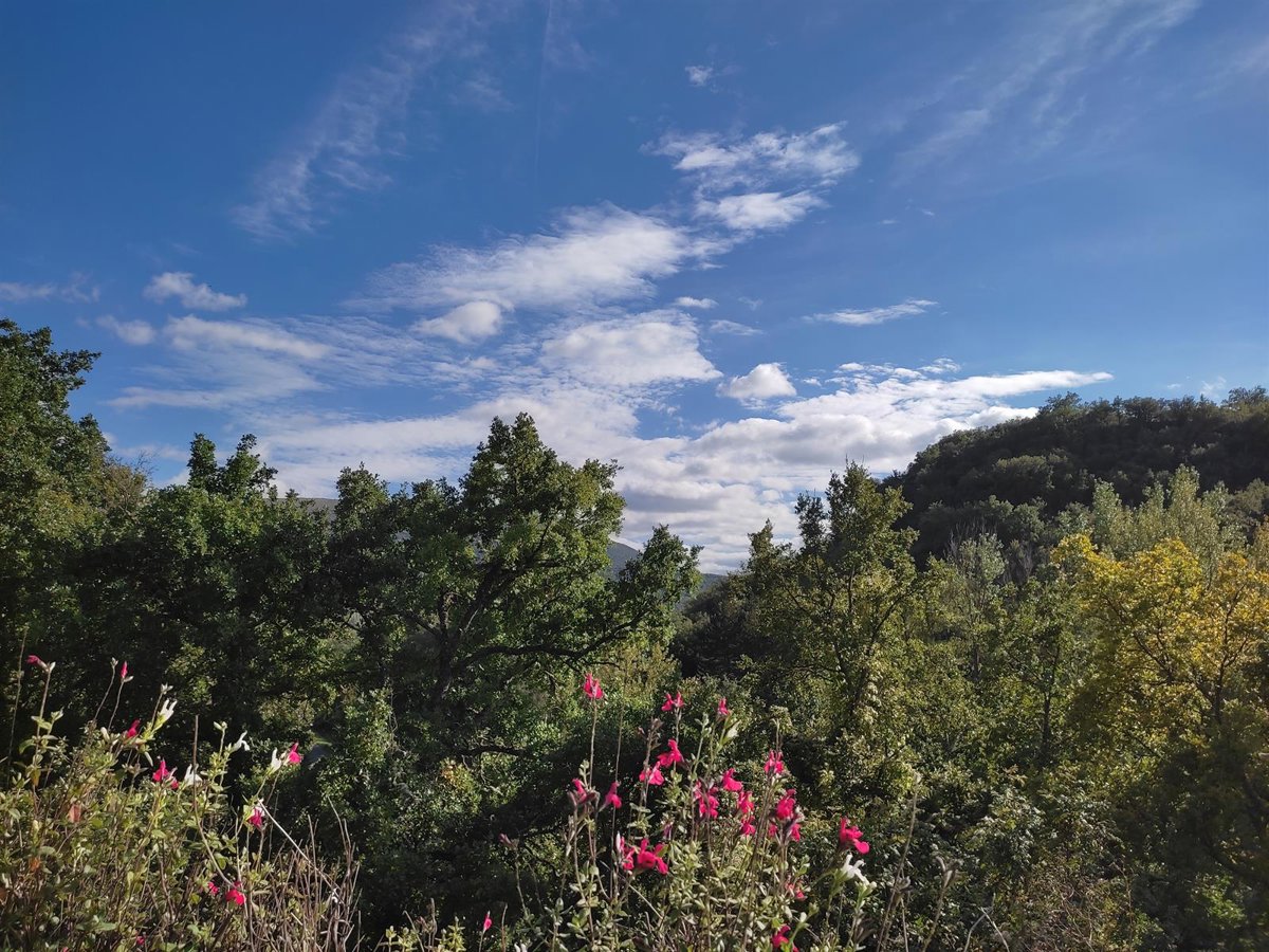 El tiempo en Extremadura para hoy domingo, 13 de julio de 2025