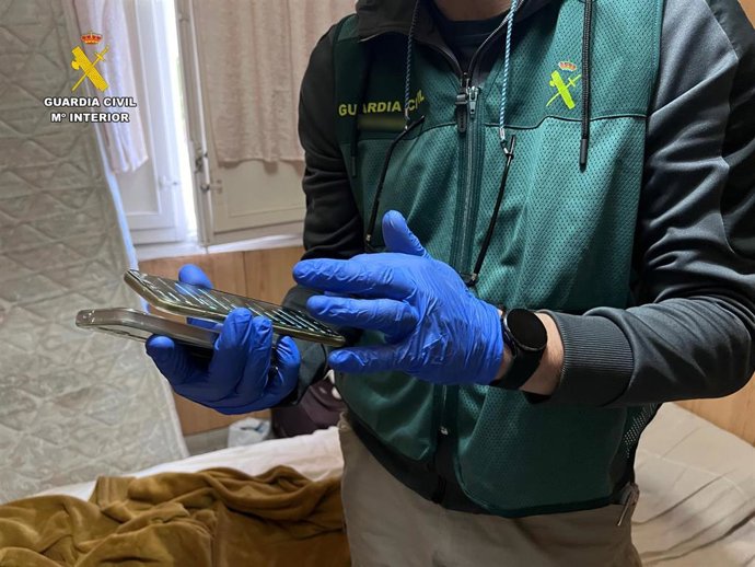 Han sido detenidas 15 personas, de las cuales 11 han ingresado a prisión