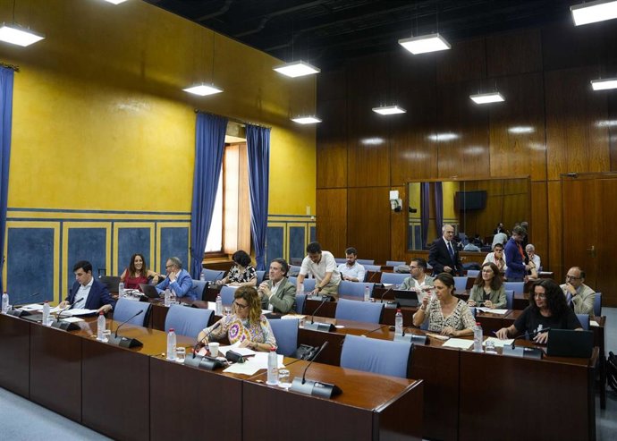 Sesión de la comisión de Universidad, Investigación e Innovación del Parlamento andaluz. (Foto de archivo).