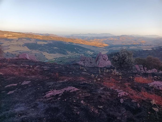 Rastro al paso del incendio forestal en el término municipal de esta localidad.
