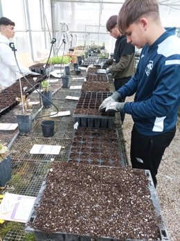 Estudiantes de los Ciclos Formativos en Producción Agroecológica y Aprovechamiento y Conservación del Medio Natural inoculan hongos a especies vegetales vulnerables.