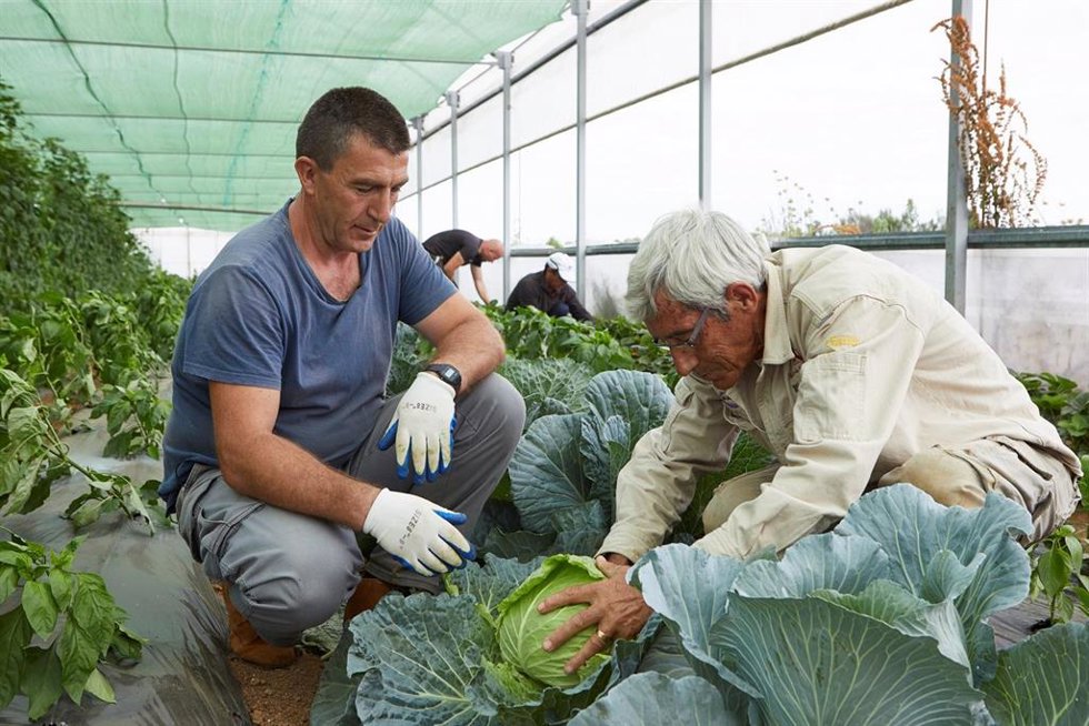Archivo - Proyecto de desarrollo social en el ámbito rural financiado por la Obra Social 'La Caixa'