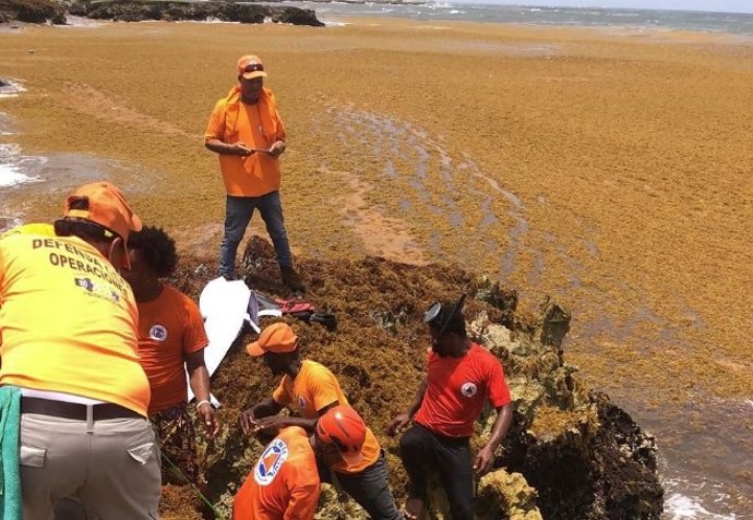 Funcionários da Defesa Civil recuperam corpos de migrantes mortos na costa da República Dominicana