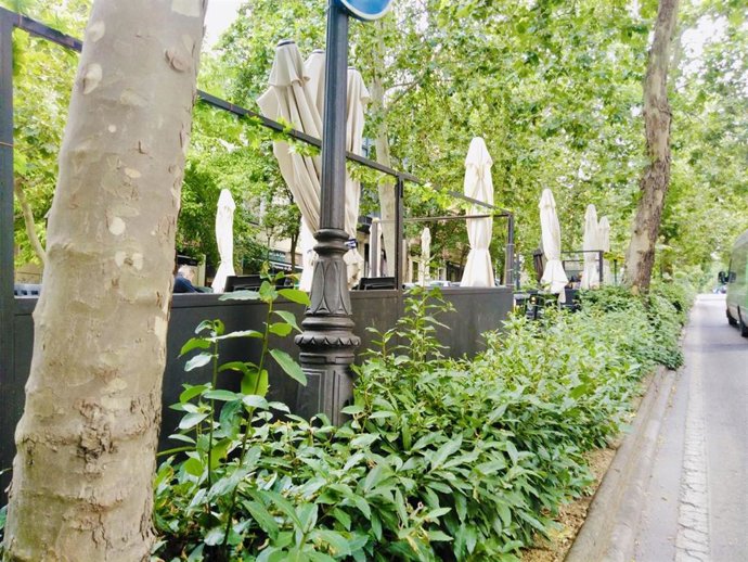 Bulevar de la avenida Virgen de la Montaña de Cáceres