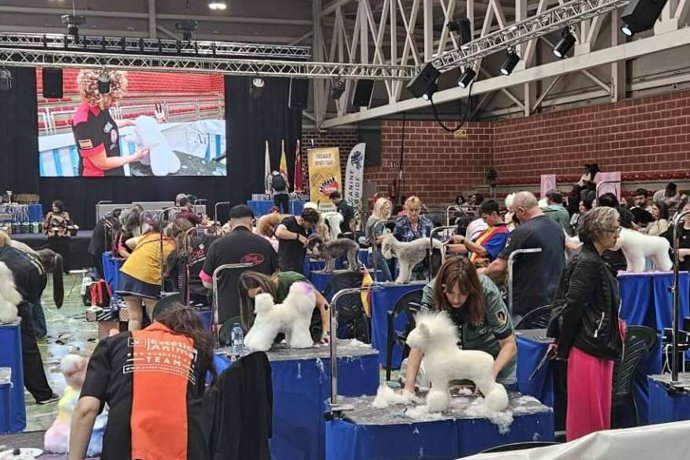 El mejor estilismo canino del mundo llega a Murcia en octubre