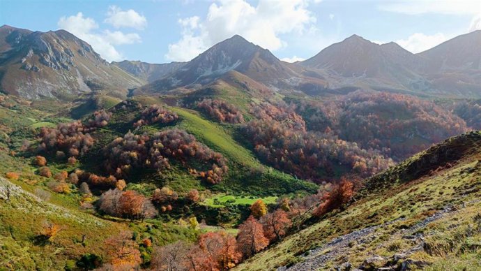 Bosque del Parque Natural de Redes en Asturias.
