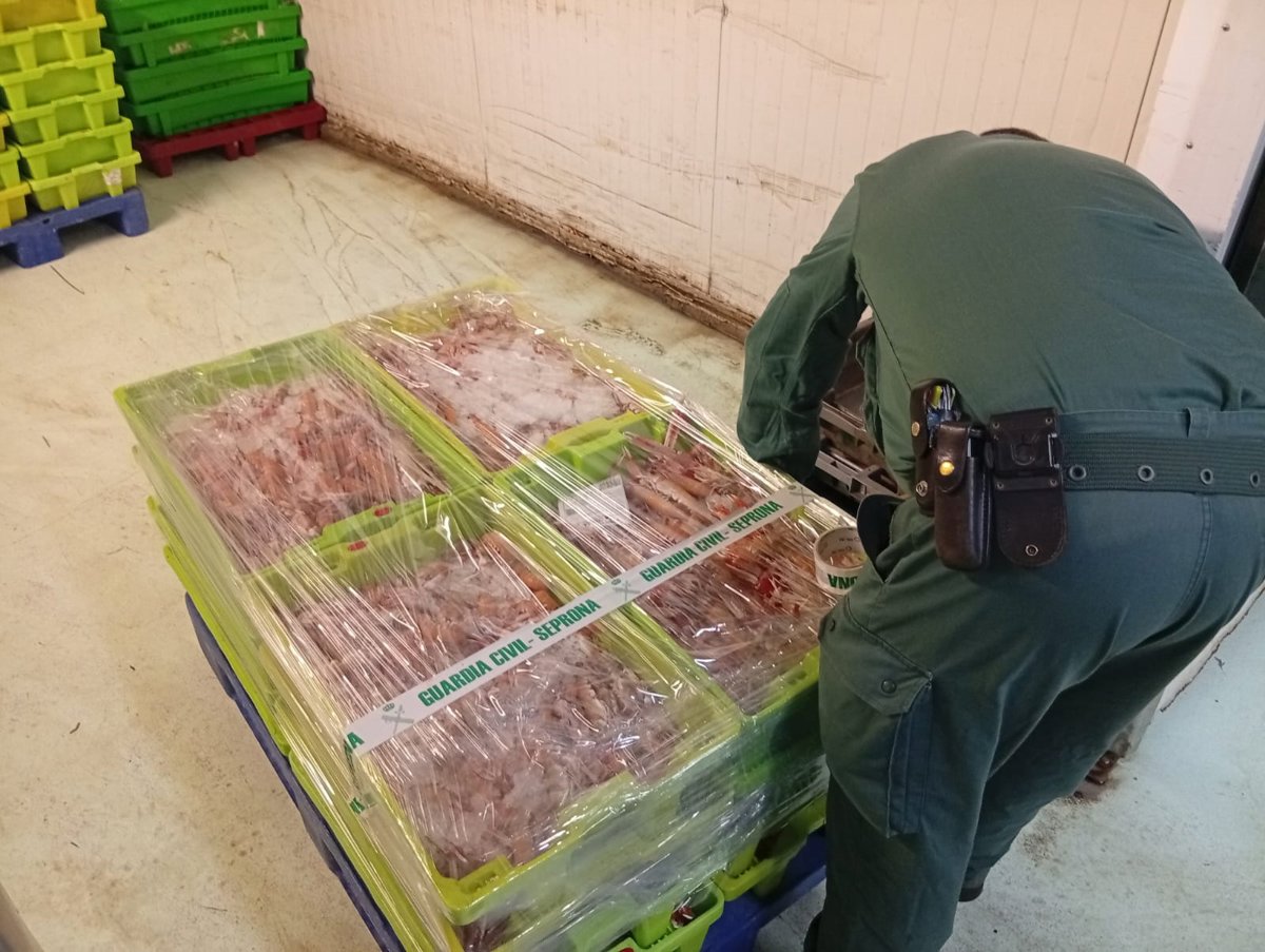 Interceptados más de 280 kilos de cigalas sin documentación en una furgoneta que viajaba hasta A Coruña desde Cantabria