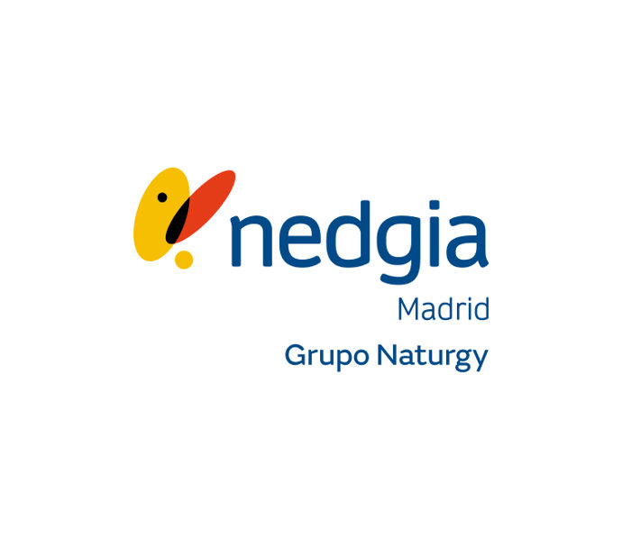 Nedgia (Naturgy)