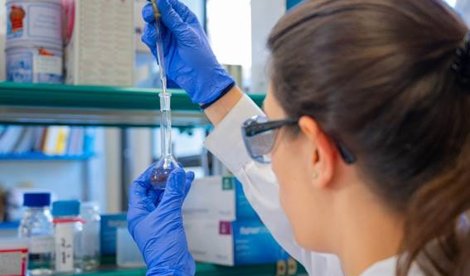 Investigación