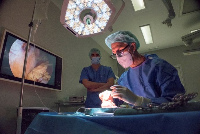 Archivo - Arquivo - Trata-se de uma terapia "inédita" na Catalunha em um paciente de transplante renal para tratar um citomegalovírus (CMV) que não respondeu ao tratamento habitual.