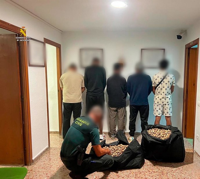 Detenidos en la operación de la Guardia Civil.