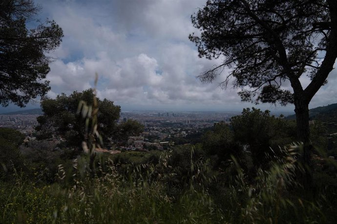 Archivo - Vistas de la ciudad desde el Parc Natural de la Serra de Collserola (Barcelona).