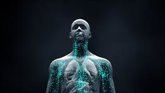 Foto: Hasta 100.000 voluntarios proporcionan a la ciencia la visión más detallada del interior del cuerpo
