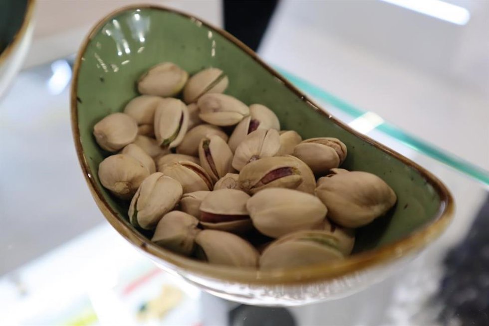 Archivo - Pistachos de la variedad kerman.