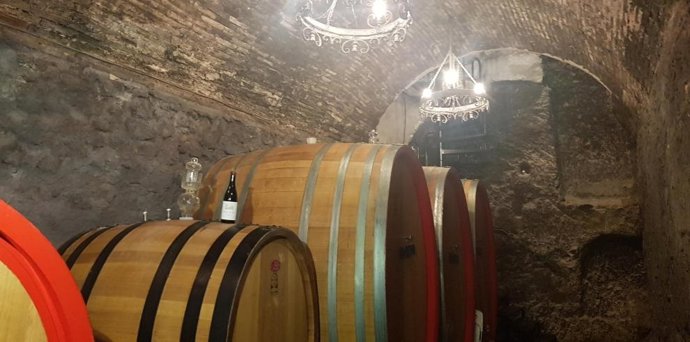 Las ayudas podrán solicitarse para campañas que se desarrollen entre el 1 de enero y el 31 de diciembre de 2026.