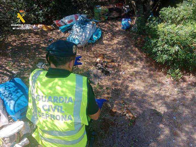 Operació per la mort de nou podencs