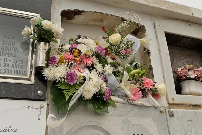 Archivo - Horma-hilobi bat