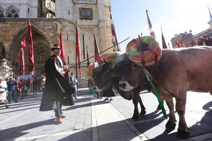Archivo - Imagen de archivo de la celebración de los carros engalanados en las Fiestas de San Froilán, en León capital.