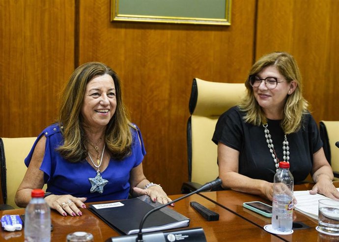 La consejera de Desarrollo Educativo y FP, Carmen Castillo, durante la Comisión de Infancia de este martes.
