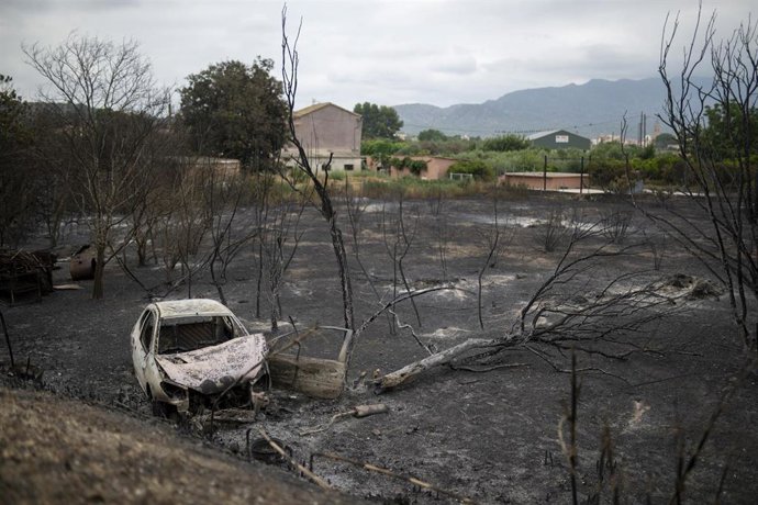Un coche quemado en una zona afectada por el incendio, a 9 de julio de 2025, en Xerta, Tarragona, Catalunya (España). Los Bombers de la Generalitat han logrado estabilizar el incendio de Paüls (Tarragona), que se inició el pasado lunes, 7 de julio, a medi