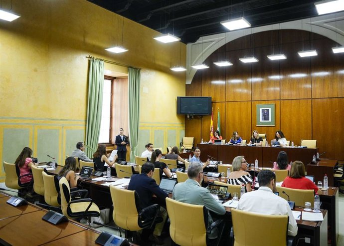 Vista general de la comisión sobre la Infancia y la Adolescencia del Parlamento andaluz.