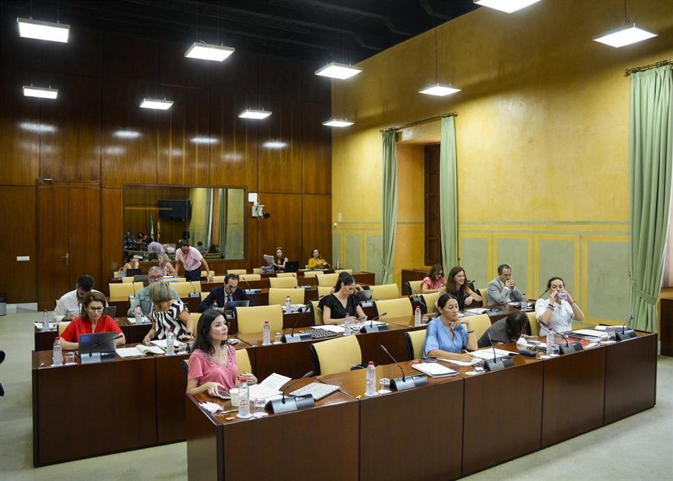 Sesión de la comisión sobre la infancia y la adolescencia del Parlamento andaluz.
