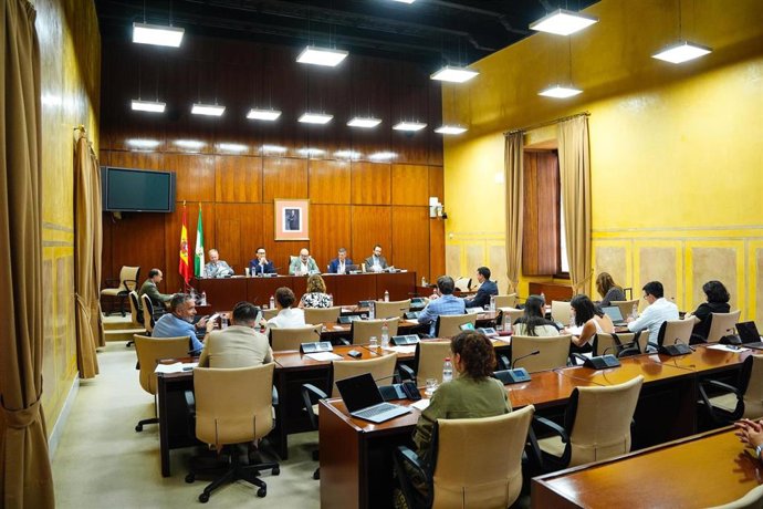 Sesión de la comisión de Universidad del 15 de julio de 2025.