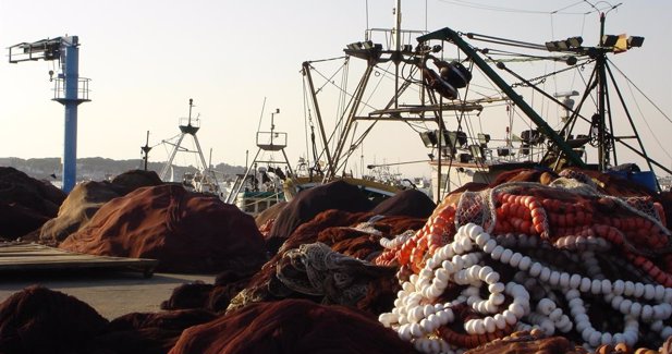 EpAgro - Pesca