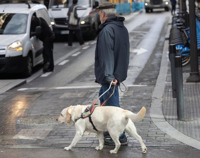 Archivo - Una persona con discapacidad visual camina acompañada por un perro guía, a 28 de enero de 2025, en Madrid (España).