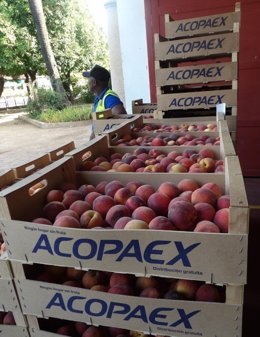 Cajas de fruta repartida por el Banco de Alimentos.