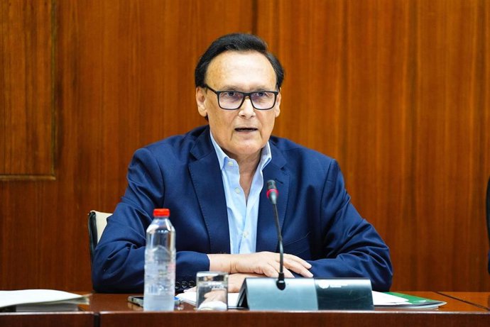 El consejero José Carlos Gómez Villamandos, en la comisión parlamentaria del 15 de julio de 2025.