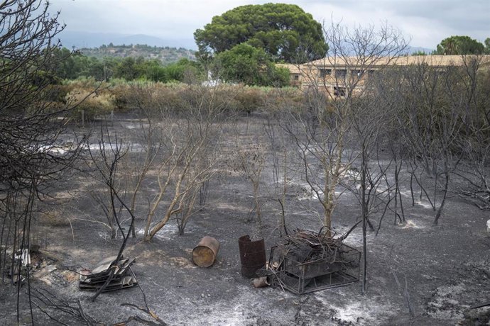 Una zona afectada por el incendio, a 9 de julio de 2025, en Xerta, Tarragona, Catalunya (España).