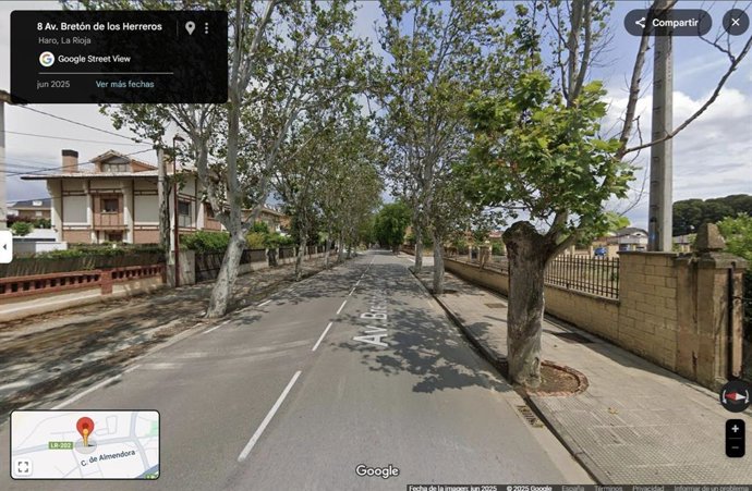 El Partido Animalista solicita al Ayuntamiento de Haro la paralización de la tala de álamos centenarios