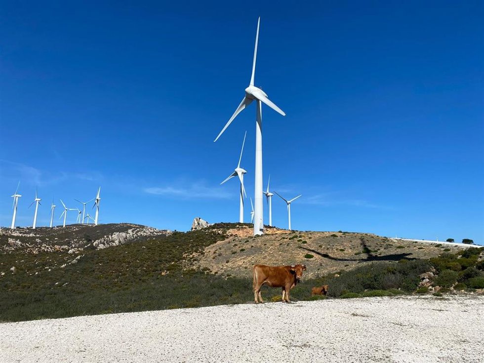 Endesa actualiza su Plan de Sostenibilidad, correspondiente al periodo comprendido entre 2025 y 2027