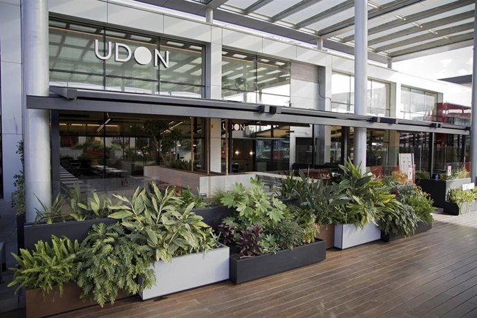 Restaurante de Udon Asian Food