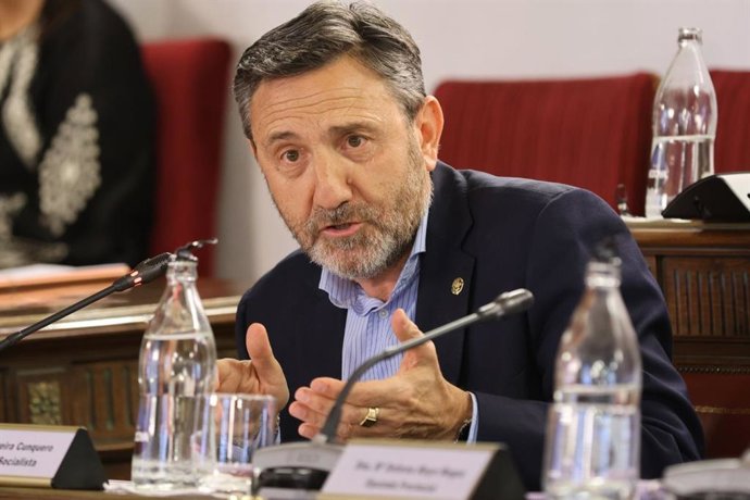 Archivo - El portavoz del Grupo Provincial Socialista en la Diputación de Valladolid, Francisco Ferreira