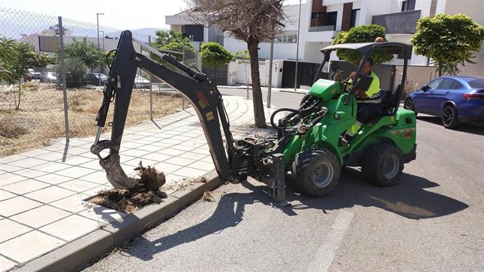 Retirada de tocones de los alcorques