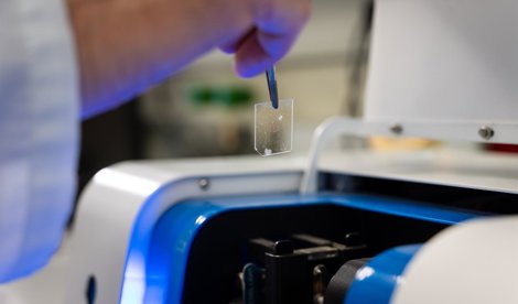 Investigación